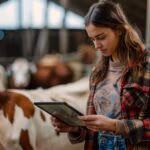 Shot of a young woman using a digital tablet while working at a cow farm