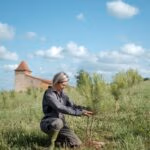exploitation-agricole-agroforestiere-verger-a-champignons-toulouse-70