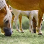 464313567_3909129969321909_8018262643969092468_n