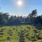 b055ec_228d8e27c0ab4f53bfde45e8c9356ed7~mv2