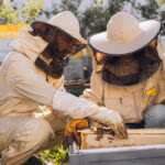 Couple of happy smiling beekeepers working with beekeeping tools near beehive at bee farm