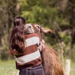 animations-a-la-ferme-adulte-decouverte-ariege-pyrenees