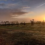 IMG_20191010_082101-1-scaled