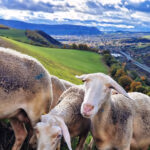 20231117_145020_edited-scaled