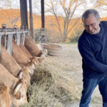 Capture d’écran 2025-07-08 à 13.09.54