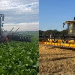 Yellow Floral Photo Collage Instagram Post Sunflower Field