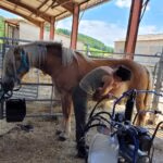 bc713a4e-1743-41c6-a42b-c59a2f4dfbaf