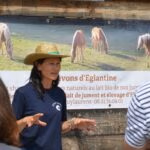 c0599018-499c-4ecf-8edb-894a2e66cd1a