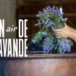 Un-air-de-lavande-evenement-980x653
