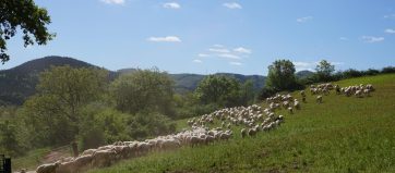 21728870_1154833051282958_1696533158842811753_o