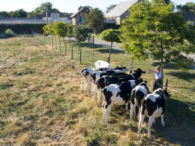 3.0-NOS-VALEURS-2048x1364