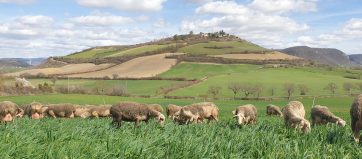 496859401_10222609951437980_9176636121717489838_n