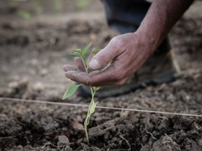 6808bdb96d02a605455392