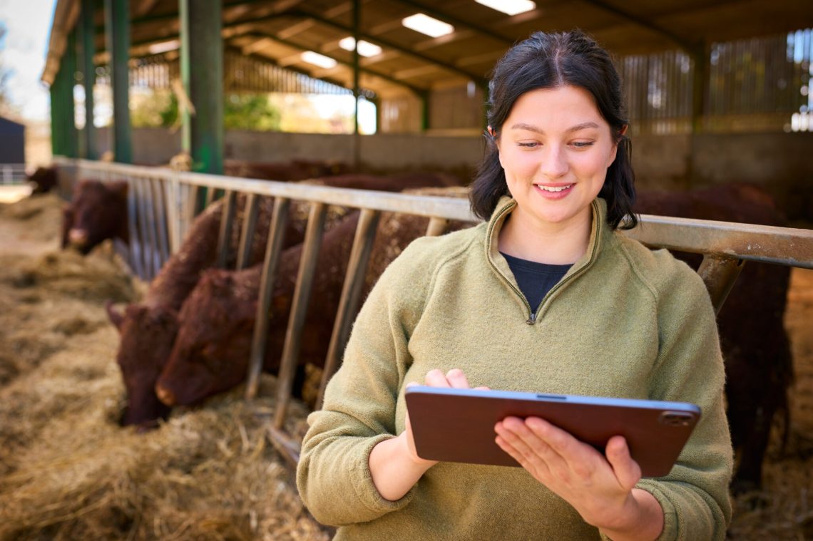 Young Female Farm Worker With Digital Tablet Checking On Cattle In Barn
