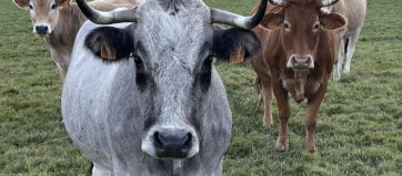 Capture d’écran 2026-01-21 à 15.01.10