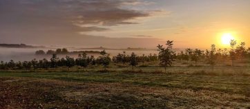 IMG_20191010_082101-1-scaled