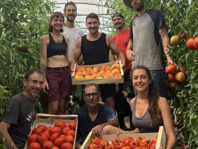 Image 06-02-2026 à 16.39