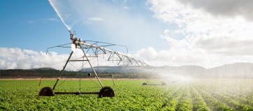 Images irrigation
