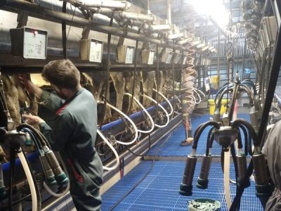 _RLA375_DOSS_HAUTEUR_AVIS_GLEHELLO