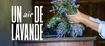 Un-air-de-lavande-evenement-980x653