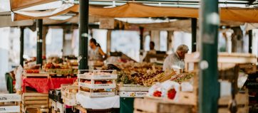 annie-spratt-kr_88BakygA-unsplash